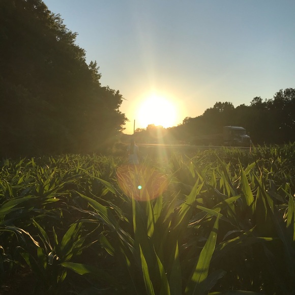 Meet your Posher, Mara - Picture 1 of 1